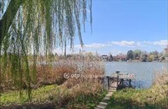 Eladó Dunavarsányi üdülőövezeti telek hirdetés (17296344)