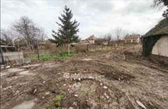 Eladó Baksi családi ház hirdetés (22739353)