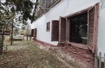 Eladó Derekegyházi tanya hirdetés (79984424)