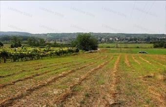 Eladó Kőröshegyi egyéb mezőgazdasági ingatlan hirdetés (75732493)