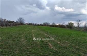 Eladó Töki külterületi telek hirdetés (15547378)
