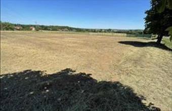 Eladó Balatonlellei egyéb telek hirdetés (59342243)