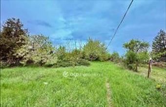 Eladó Solymári lakóövezeti telek hirdetés (43978144)