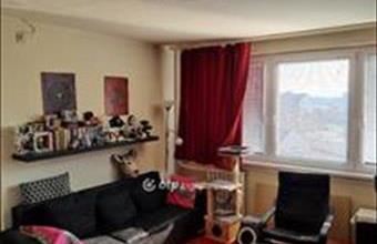 Eladó Budapest X. kerületi panel lakás hirdetés (57543957)