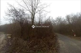 Eladó Nyergesújfalui külterületi telek hirdetés (24186444)