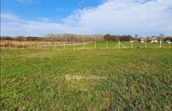 Eladó Balatonszabadi lakóövezeti telek hirdetés (58669448)