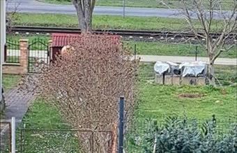 Eladó Balatonberényi üdülő hirdetés (64557769)