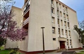 Eladó Törökszentmiklósi egyéb lakás hirdetés (84384942)