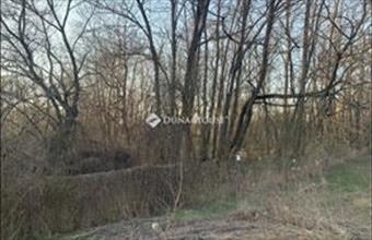 Eladó Őrbottyáni külterületi telek hirdetés (94543557)