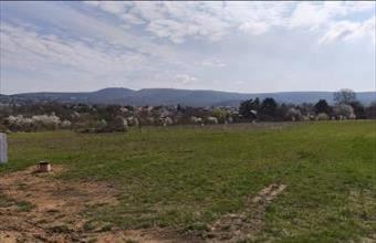 Eladó Budakeszi egyéb telek hirdetés (39379848)