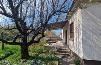 Eladó Dorogi családi ház hirdetés (85534449)