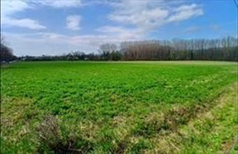 Eladó Nemesgulácsi egyéb mezőgazdasági ingatlan hirdetés (86856249)