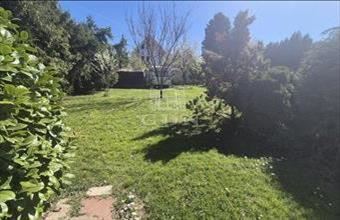 Eladó Százhalombattai családi ház hirdetés (75527297)