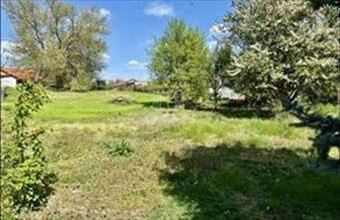 Eladó Szigetszentmártoni lakóövezeti telek hirdetés (39574639)