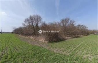 Eladó Apostagi külterületi telek hirdetés (43675287)