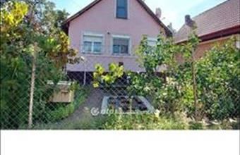 Eladó Tiszajenői tanya hirdetés (45291384)