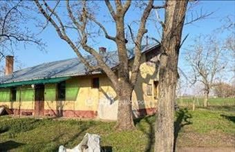 Eladó Csongrádi tanya hirdetés (67593524)