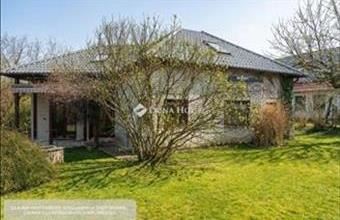 Eladó Budajenői családi ház hirdetés (43482452)