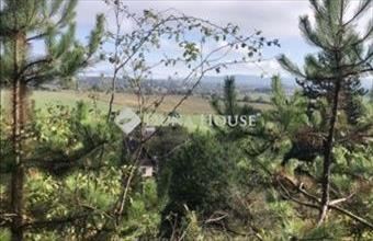 Eladó Mogyorósbányai külterületi telek hirdetés (54366649)