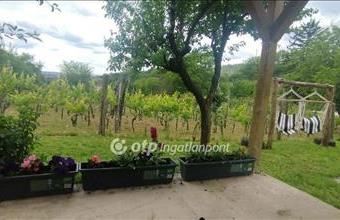 Eladó Szekszárdi külterületi telek hirdetés (52924237)