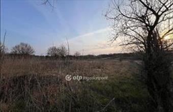 Eladó Nyíregyházai külterületi telek hirdetés (69917262)