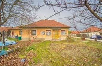 Eladó Kávai családi ház hirdetés (19936363)