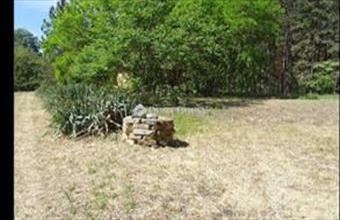 Eladó Ladánybenei tanya hirdetés (22521485)