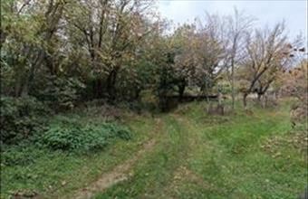 Eladó Bocskai erdő hirdetés (54445858)