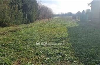 Eladó Albertirsai lakóövezeti telek hirdetés (97239474)