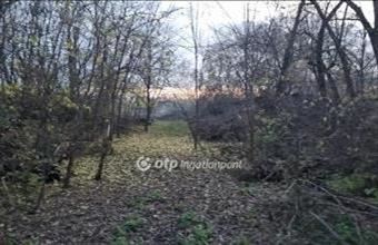 Eladó Albertirsai külterületi telek hirdetés (64239487)