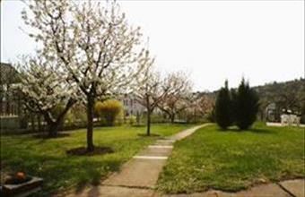 Eladó Tahitótfalui hétvégi ház hirdetés (33884386)