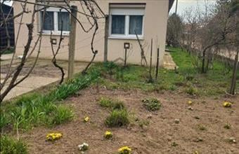 Eladó Debreceni családi ház hirdetés (93138394)