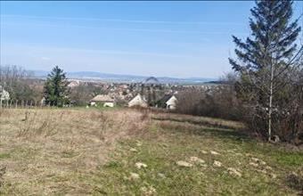 Eladó Etyeki külterületi telek hirdetés (94799324)