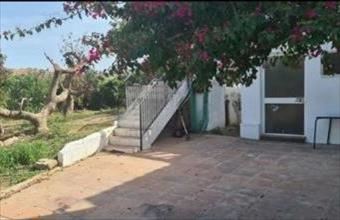 Eladó Spanyolországi tanya hirdetés (43257347)