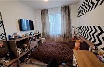 Eladó Rakamazi családi ház hirdetés (33944935)