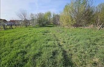 Eladó Monori családi ház hirdetés (63552471)