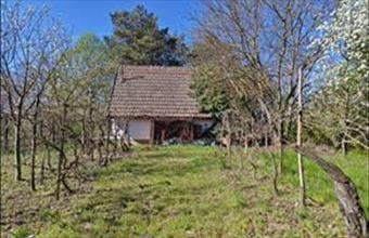 Eladó Jászberényi tanya hirdetés (66634653)