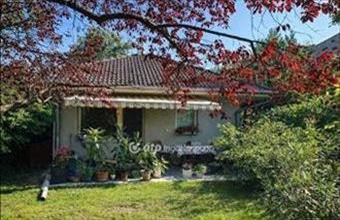 Eladó Szigetszentmiklósi családi ház hirdetés (37819784)