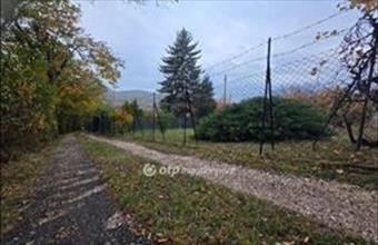 Eladó Pomázi lakóövezeti telek hirdetés (37399195)