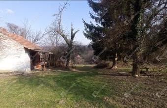 Eladó Zalaegerszegi családi ház hirdetés (36743446)