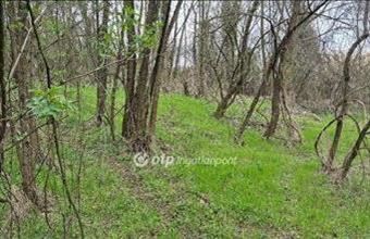 Eladó Pellérdi egyéb mezőgazdasági ingatlan hirdetés (97818772)