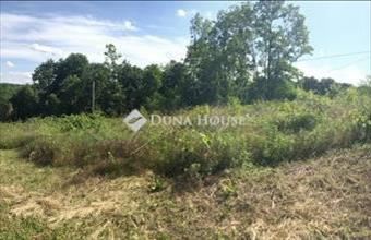 Eladó Bázakerettyei külterületi telek hirdetés (37724474)