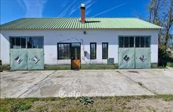 Eladó Szabadszállási műhely hirdetés (45454554)