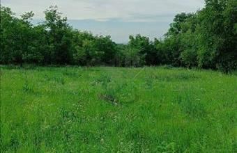 Eladó Écsi lakóövezeti telek hirdetés (78578249)