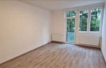 Kiadó Kaposvári tégla lakás hirdetés (44753794)