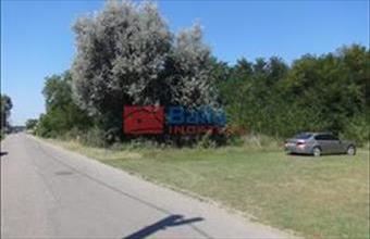 Eladó Tiszakécskei egyéb telek hirdetés (54333423)