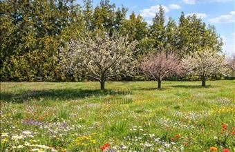 Eladó Érdi lakóövezeti telek hirdetés (86853765)