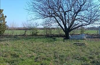 Eladó Érdi lakóövezeti telek hirdetés (86853765)