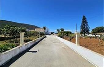 Eladó Spanyolországi tanya hirdetés (62593444)