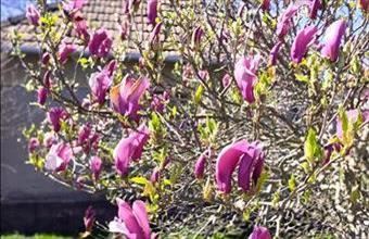 Eladó Zalaapáti családi ház hirdetés (93273648)